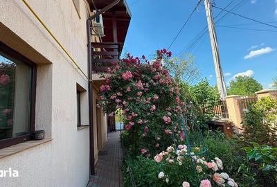 Casă cu 5 camere cu Teren 761 Mp în Aroneanu - 13