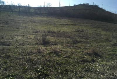 Teren de 3000 mp, în Mahmudia - 7