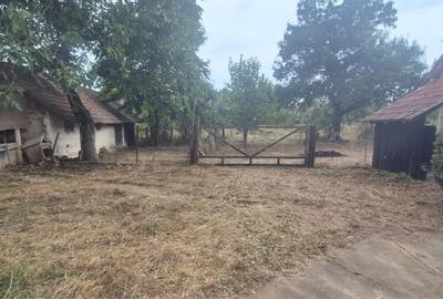 Casă cu 4 camere în Sculia - 4