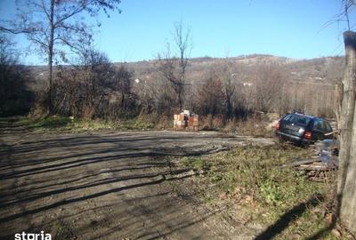 Teren de 2882 mp, în Târgșoru Vechi