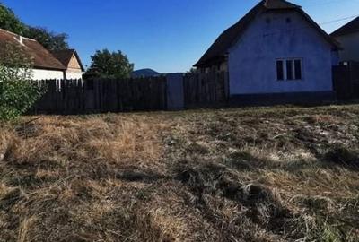 Casă cu 2 camere în Central
