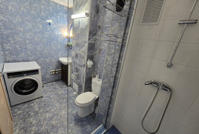 Apartament cu 2 camere decomandat în Gorjului - 20