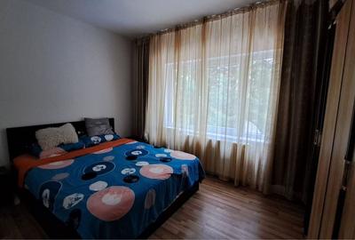 Apartament cu 2 camere semidecomandat în Dosu Bricii