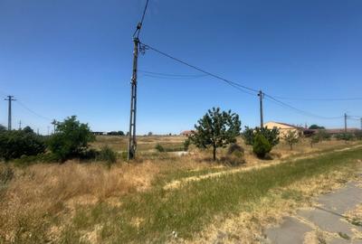 Teren Construcții intravilan de 90000 mp, în Bărăteaz - 5