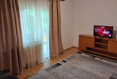 Garsonieră decomandată în Micălaca - 3
