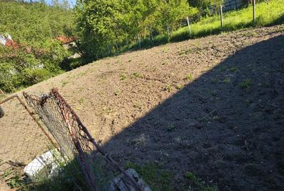 Casă cu 3 camere în Porumbeni