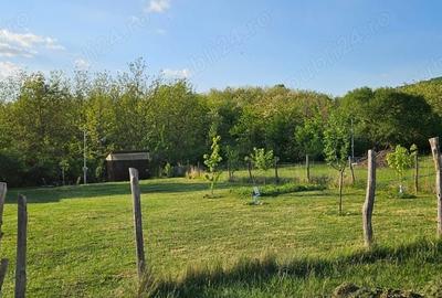Teren de 400 mp, în Șiria - 1