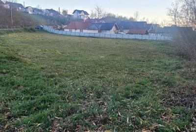 Teren de 1700 mp, în Mereni - 8