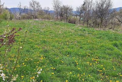 Teren de 2440 mp, în Șerbănești (Sălătrucel) - 3