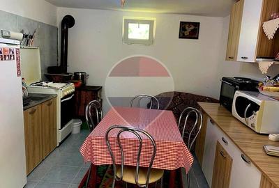 Casă cu Teren 1043 Mp în Dochia