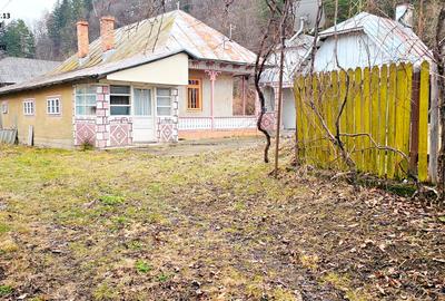 Casă cu 3 camere cu Teren 3506 Mp în Vest - 12