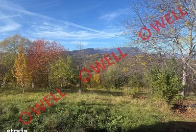Casă cu Teren 4831 Mp în Bran