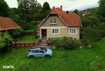 Teren de 4000 mp, în Bran - 6