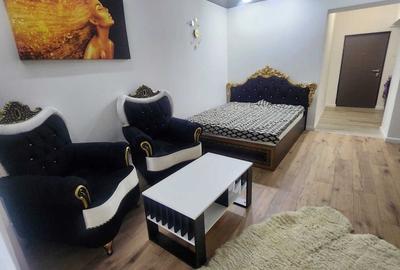Garsonieră semidecomandată în Bucium - 2
