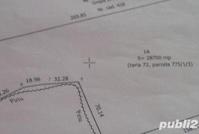 Teren de 33700 mp, în Dumbrava (Berești-Bistrița) - 2