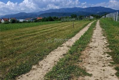 Teren de 500 mp, în Central