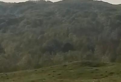 Teren de 3600 mp, în Aluniș - 3