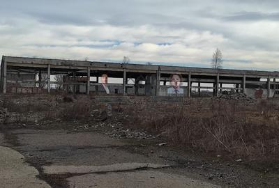 Teren Construcții intravilan de 100000 mp, în Exterior Est - 4