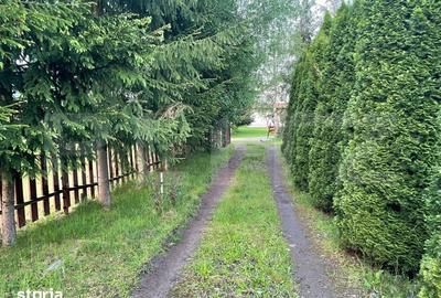 Casă cu 3 camere cu Teren 2460 Mp în Eremitu - 6