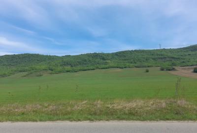Teren de 100000 mp, în Dej - 1