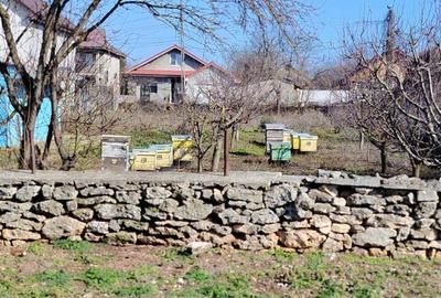 Teren de 1000 mp, în Limanu - 1