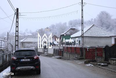 Teren de 20000 mp, în Berislăvești - 19