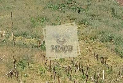 Teren de 2500 mp, în Șelimbăr - 3