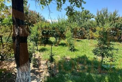 Casă individuală cu 3 camere cu Canalizare în Anda - 19