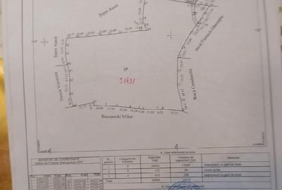Teren de 25000 mp, în Plai - 1