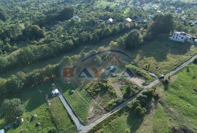 Teren Construcții intravilan de 7450 mp, în Exterior Nord - 2