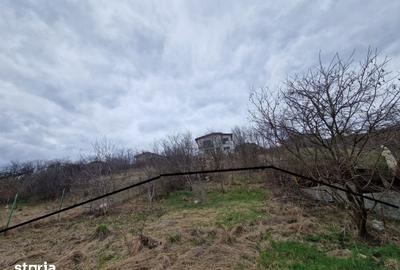 Teren de 584 mp, în Apahida