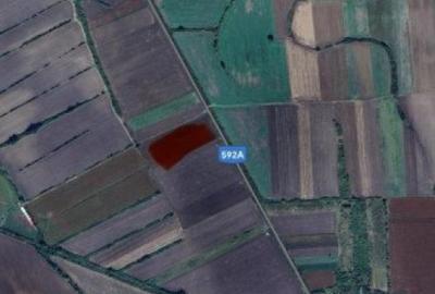 Teren de 23200 mp, în Sacoșu Turcesc