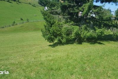 Teren de 7000 mp, în Fundata - 4