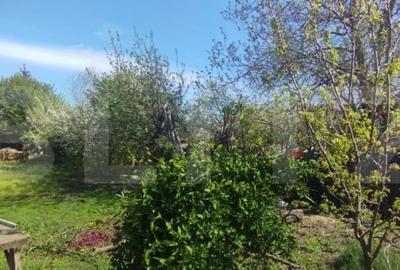 Teren de 974 mp, în Valea Lupului - 2