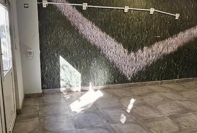 Spațiu comercial, de 50 mp, în Dorobanți