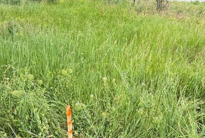Teren agricol intravilan de 3450 mp, în Giulești Sârbi - 4