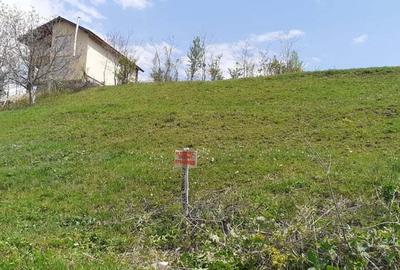 Teren de 555 mp, în Viforâta