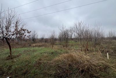 Teren Construcții extravilan de 8874 mp, în Tărtășești - 7