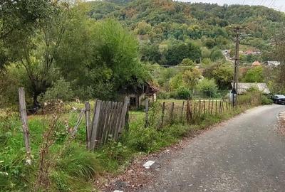 Teren de 5400 mp, în Bughea de Jos - 11