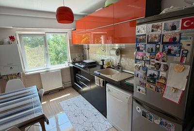 Apartament cu 3 camere decomandat în Brotăcei