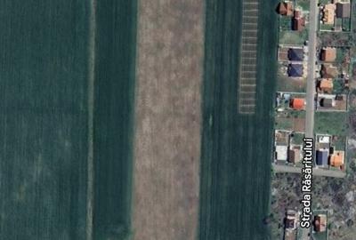 Teren Construcții intravilan de 610 mp, în Sânandrei