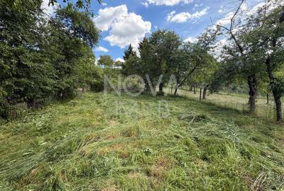 Teren Construcții intravilan de 903 mp, în Rod - 4
