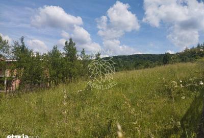 Teren de 40000 mp, în Central - 3