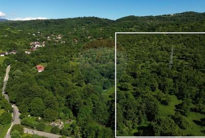 Teren agricol extravilan de 14489 mp, în Exterior Est