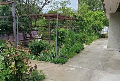 Casă cu 2 camere cu Teren 3868 Mp în Bârsănești - 8