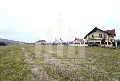 Teren intravilan de 3000 mp, în Bărăbanț - 2