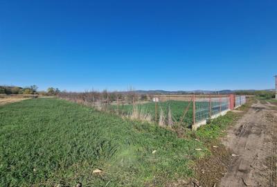 Teren agricol intravilan de 2500 mp, în Răscruci - 3