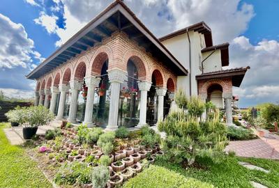Casă individuală cu 8 camere cu Piscina în Corbeanca - 10