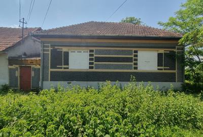 Casă cu 3 camere cu Teren 6674 Mp în Macea - 4