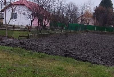 Casă cu 2 camere cu Teren 1439 Mp în Cruceni - 7
